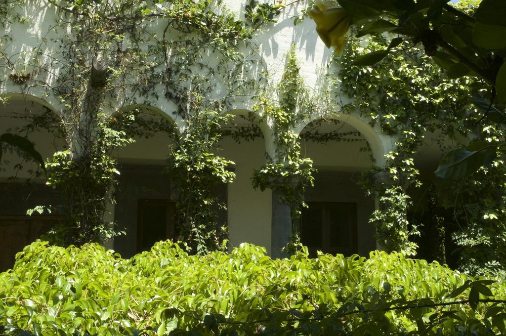 Hotel Casa Mision De San Miguel San Miguel de Allende Exterior foto